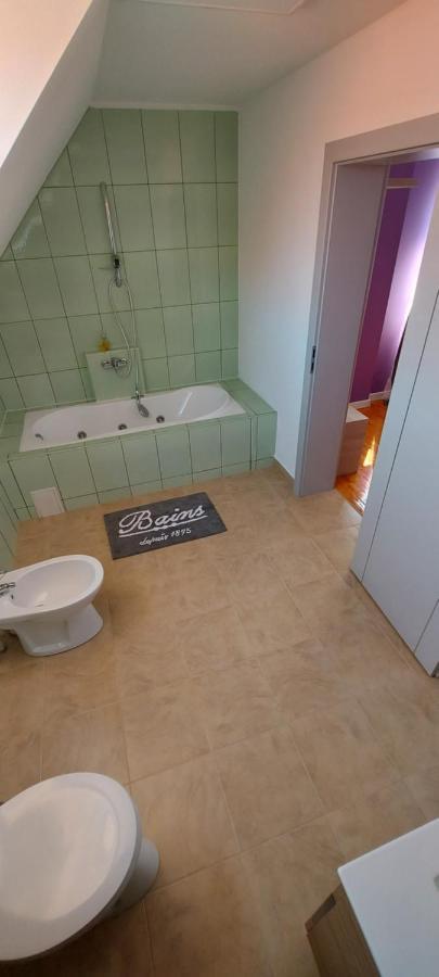 Casa Bita Apartment Sibiu Exterior photo
